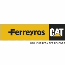 Director Corporativo de Tecnología, Procesos e Información (TPI)