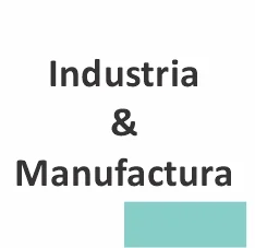 Gerente de  Tecnología de Información (TI)