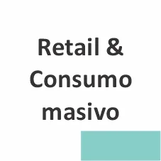 Gerente de Tecnología de Información (TI)
